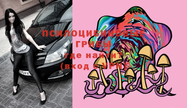 прущая мука Абаза