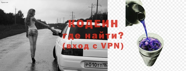 индика Абинск