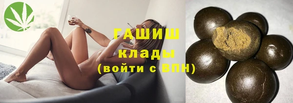 индика Абинск