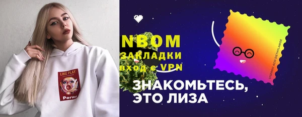 индика Абинск