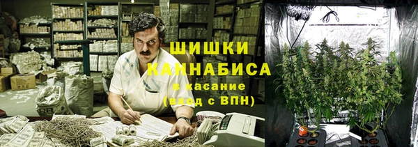 прущая мука Абаза